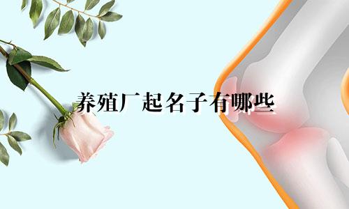 养殖厂起名子有哪些