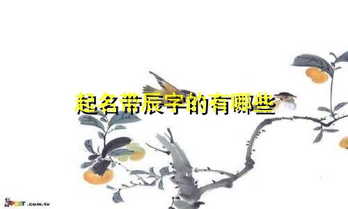 起名带辰字的有哪些