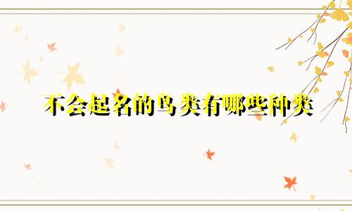 不会起名的鸟类有哪些种类