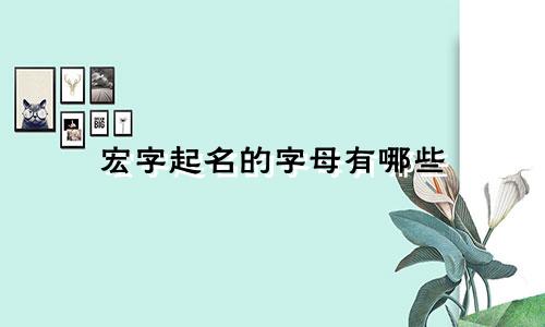 宏字起名的字母有哪些