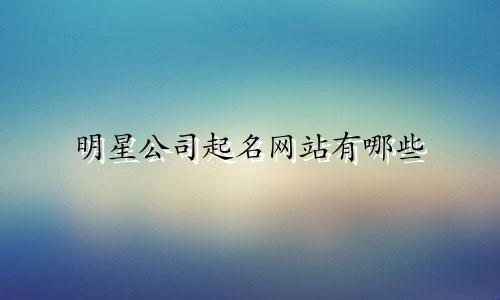 明星公司起名网站有哪些