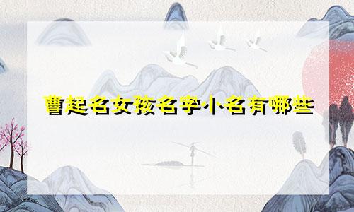 曹起名女孩名字小名有哪些