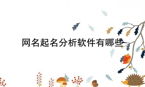 网名起名分析软件有哪些
