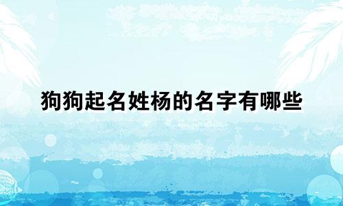 狗狗起名姓杨的名字有哪些