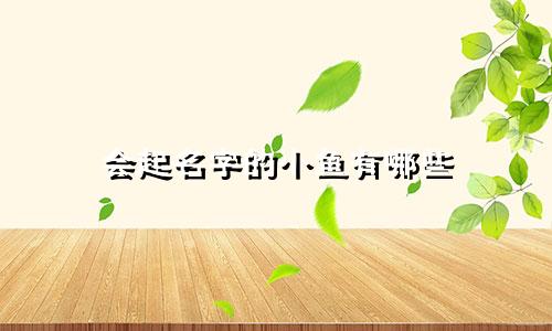 会起名字的小鱼有哪些