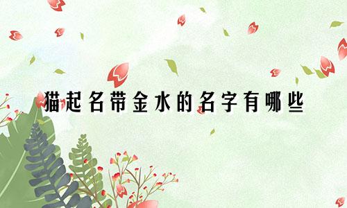 猫起名带金水的名字有哪些