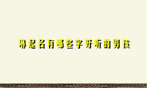 琳起名有哪些字好听的男孩