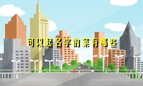 可以起名字的菜有哪些