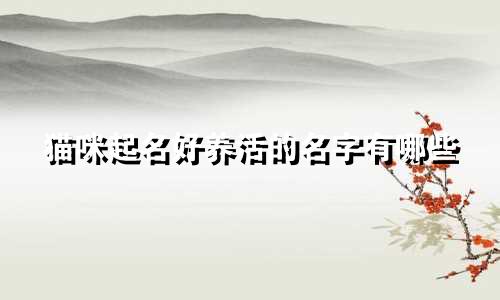 猫咪起名好养活的名字有哪些