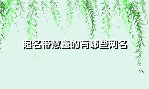 起名带慧鑫的有哪些网名