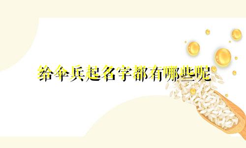 给伞兵起名字都有哪些呢