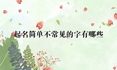 起名简单不常见的字有哪些