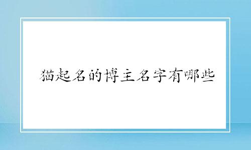 猫起名的博主名字有哪些