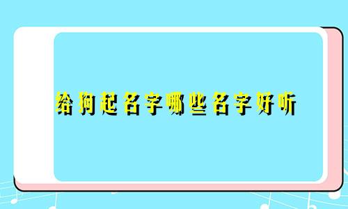 给狗起名字哪些名字好听