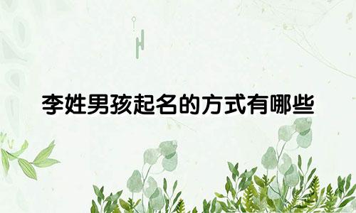 李姓男孩起名的方式有哪些