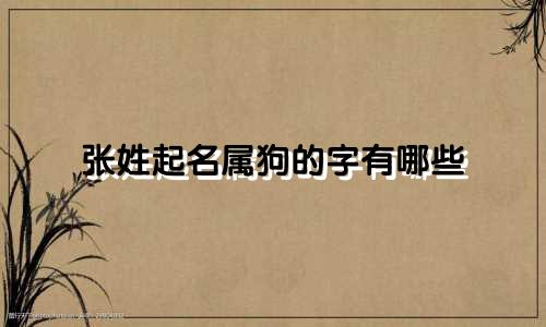 张姓起名属狗的字有哪些