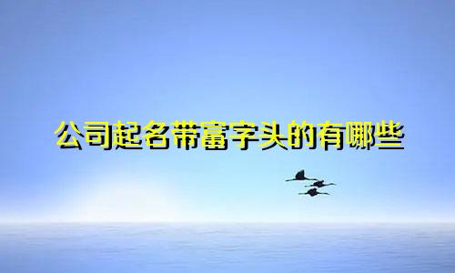 公司起名带富字头的有哪些