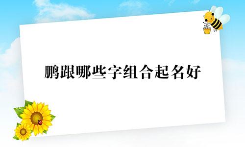 鹏跟哪些字组合起名好