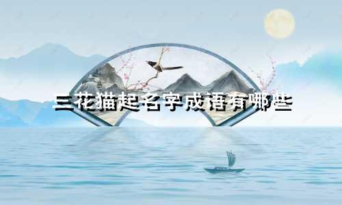 三花猫起名字成语有哪些