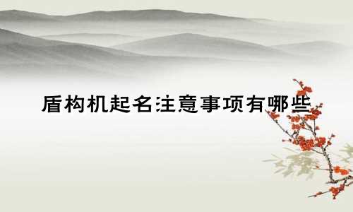 盾构机起名注意事项有哪些