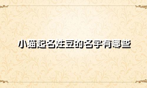 小猫起名姓豆的名字有哪些