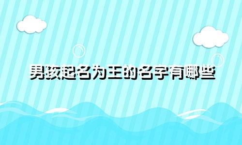 男孩起名为王的名字有哪些