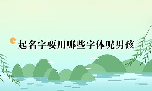 起名字要用哪些字体呢男孩