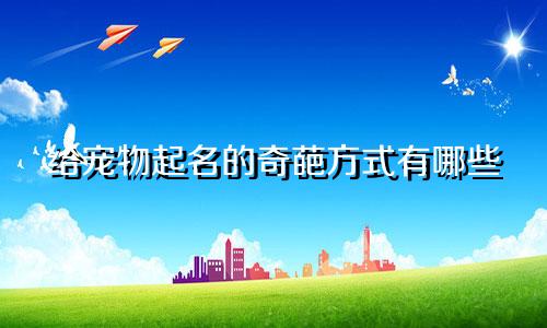 给宠物起名的奇葩方式有哪些