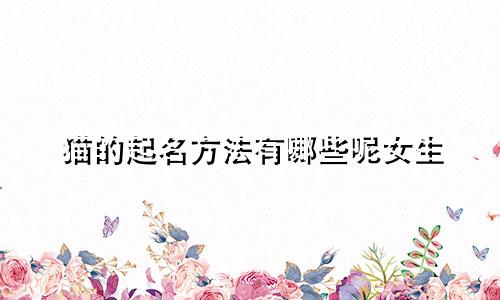 猫的起名方法有哪些呢女生