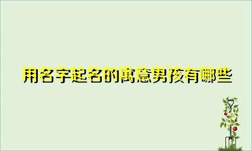 用名字起名的寓意男孩有哪些