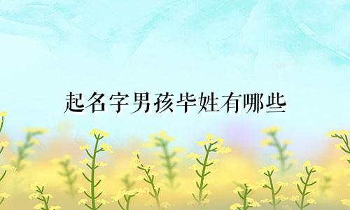 起名字男孩毕姓有哪些