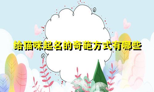 给猫咪起名的奇葩方式有哪些