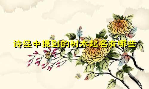 诗经中提到的树木起名有哪些