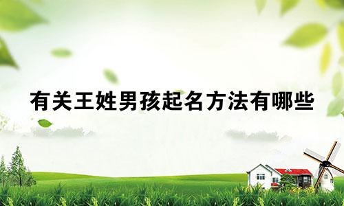 有关王姓男孩起名方法有哪些