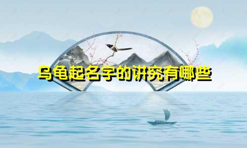 乌龟起名字的讲究有哪些