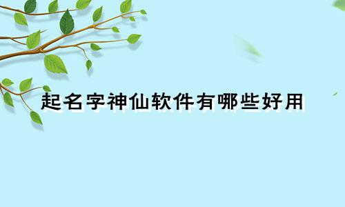起名字神仙软件有哪些好用