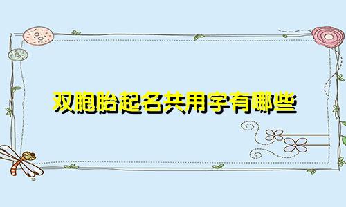双胞胎起名共用字有哪些