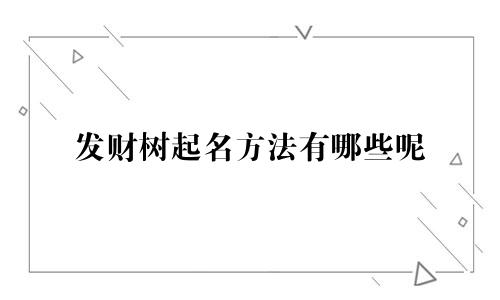 发财树起名方法有哪些呢