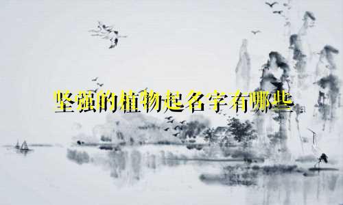 坚强的植物起名字有哪些