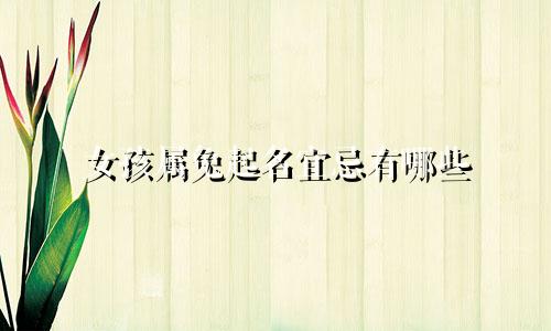女孩属兔起名宜忌有哪些
