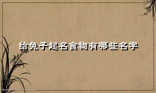 给兔子起名食物有哪些名字