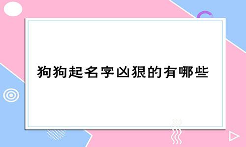 狗狗起名字凶狠的有哪些