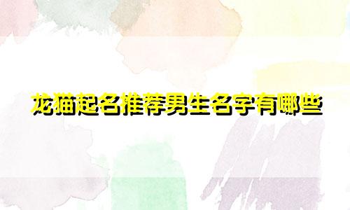 龙猫起名推荐男生名字有哪些