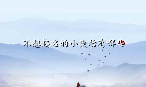 不想起名的小废物有哪些