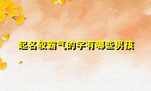 起名较霸气的字有哪些男孩