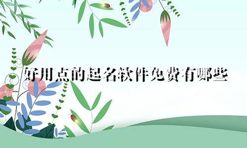 好用点的起名软件免费有哪些