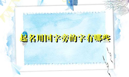 起名用国字旁的字有哪些