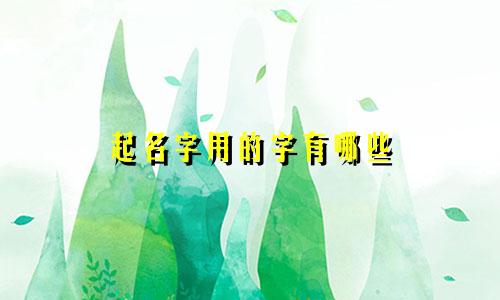 起名字用的字有哪些
