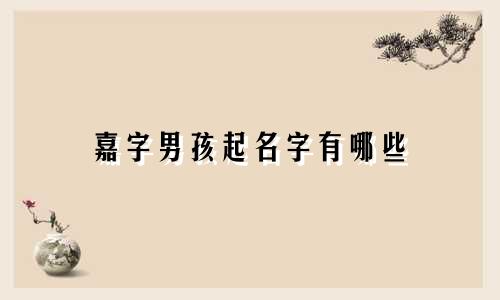 嘉字男孩起名字有哪些