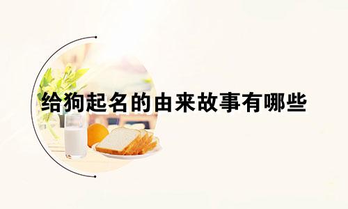 给狗起名的由来故事有哪些